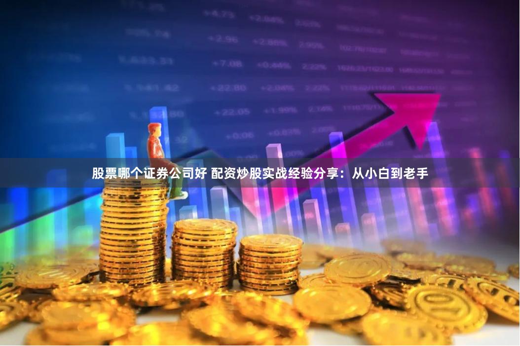 股票哪个证券公司好 配资炒股实战经验分享：从小白到老手
